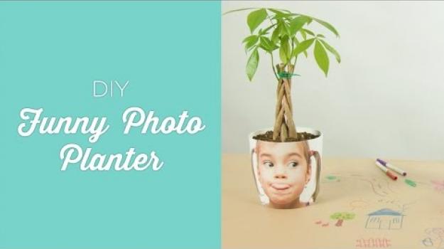 Embedded thumbnail for Funny photo planter