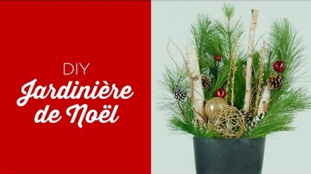 Embedded thumbnail for Christmas Planter