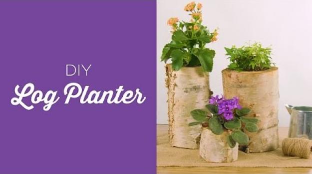 Embedded thumbnail for Log planter