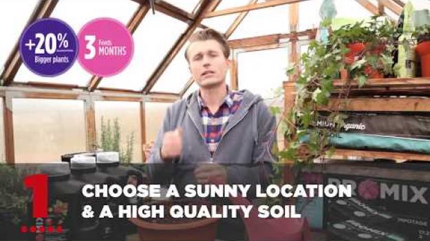 Embedded thumbnail for Most important thing when gardening in small spaces