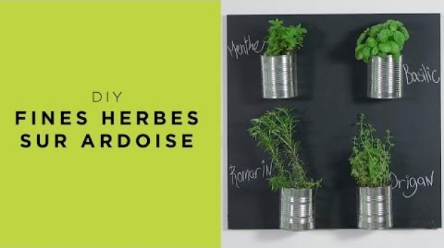 Embedded thumbnail for Fines herbes sur ardoise