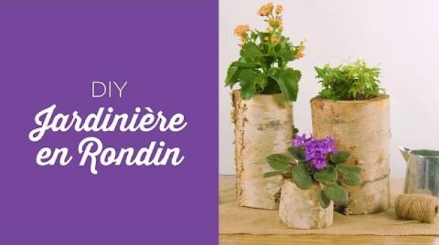 Embedded thumbnail for Jardinière en rondin