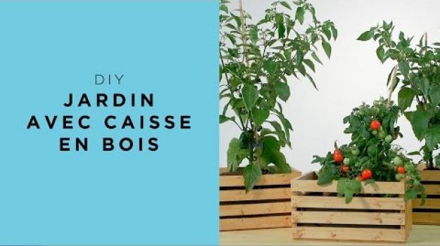 Embedded thumbnail for Jardin avec caisse en bois