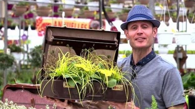 Embedded thumbnail for The trendy gardener: Polar flower boxes