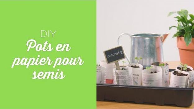 Embedded thumbnail for Pots en papier pour semis | DIY 