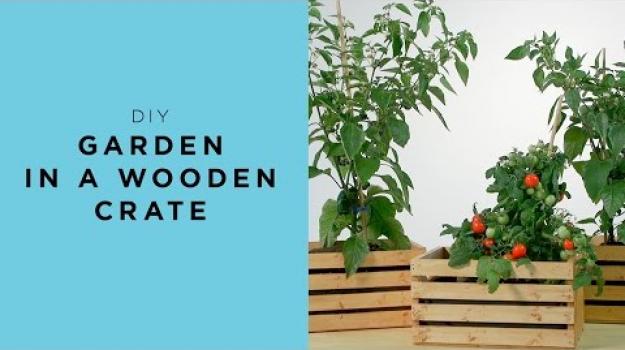 Embedded thumbnail for Garden in a wooden crate