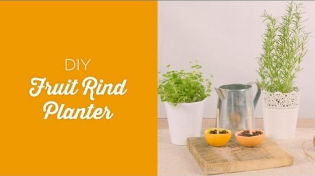 Embedded thumbnail for Fruit rind planter