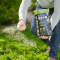 PRO-MIX Lawn Insect Defense Grass Seed CA