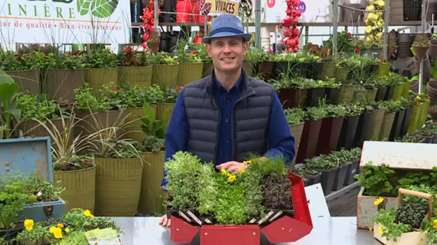 Jardinier branché : mini potager d'été par Albert Mondor vidéo DIY