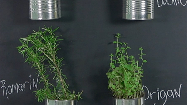Herbs on Slate gardening DIY video